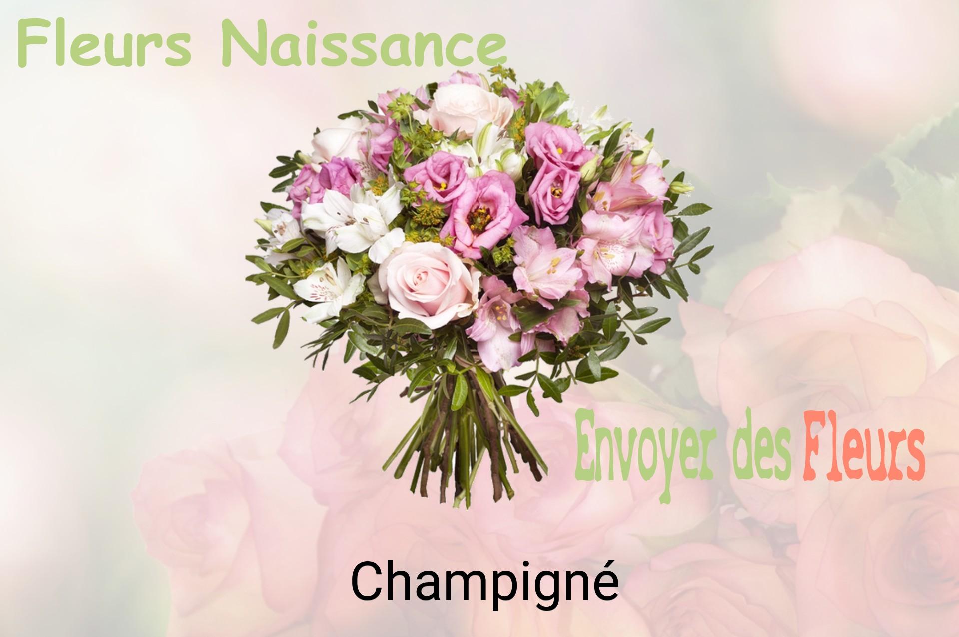 Bouquet de fleurs de naissance livré à Champigné